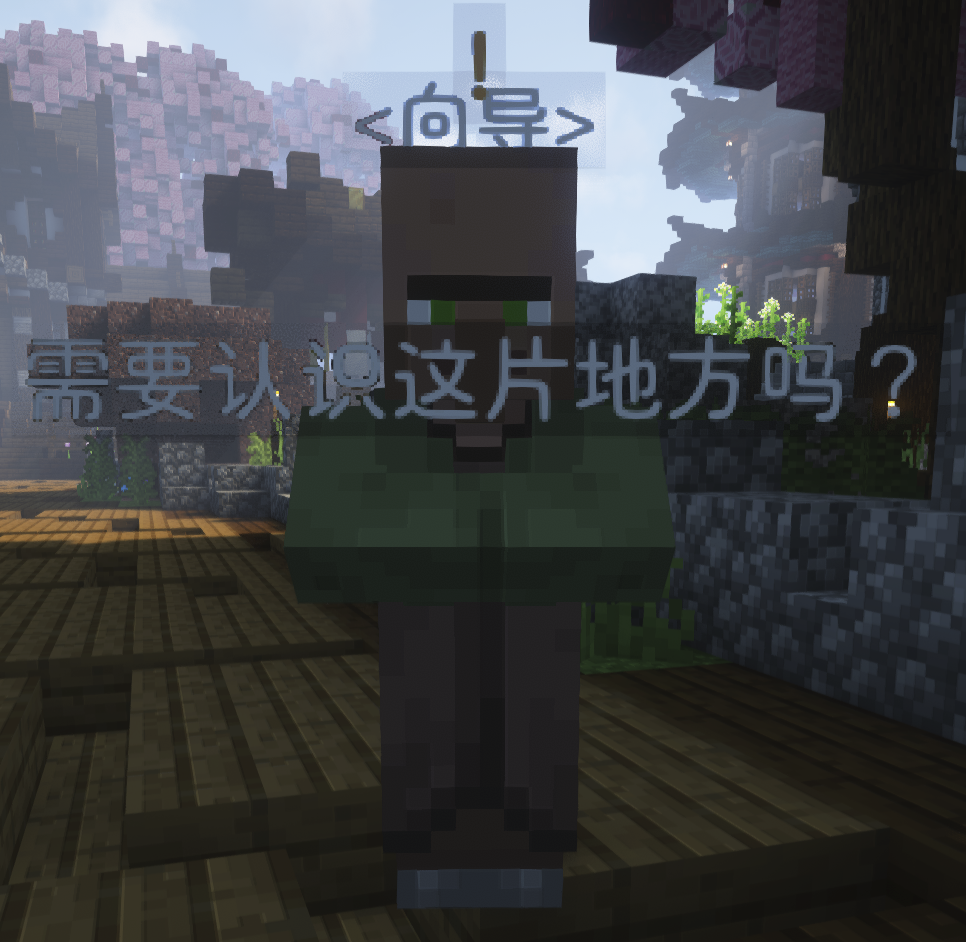 向导