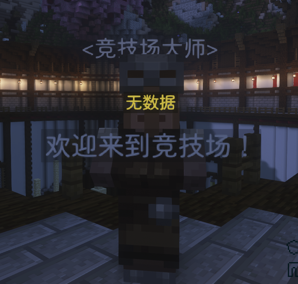 竞技场NPC